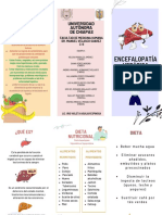 Encefalopatía Hepática: Recomendaciones de Dieta para La Enfermedad Hepática