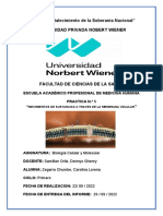 "Año Del Fortalecimiento de La Soberanía Nacional Universidad Privada Nobert Wiener