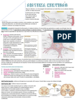 SNC Resumen