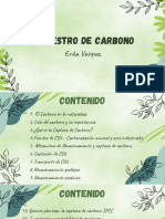 Presentación Secuestro de Carbono