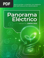 Eléctrico Panorama: Agencia de Regulación Y Control de Energía Y Recursos Naturales No Renovables