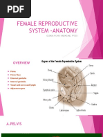 Female Reproductive System-Anatomy