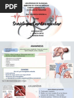 CARDIOVASCULAR DIAPOSitivas