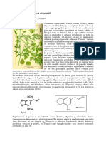 Perejil Beneficios