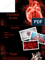 Human Circulatory System