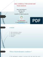 Hydrodynamic Condition. Paleocurrent and Basin Analyses