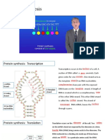 Protein Synthesis