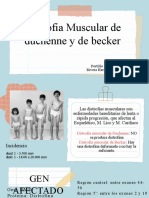 Distrofia Muscular de Duchenne y de Becker: Portillo Hernández David Rivera Hernández Karen Anahí