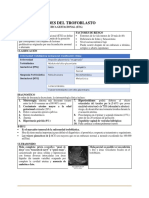 Enfermedades Del Trofoblasto