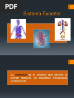 Sistema Excretor - Unam