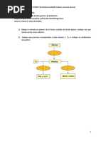 DG 5. Metabolismo II 2022