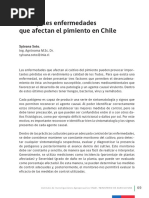 Principales Enfermedades Que Afectan El Pimiento en Chile: Capítulo 5