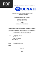 Proyecto Estrada Liñan Corrector de Camber Caster