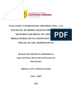 Trabajo de Suficiencia Profesional para Optar El Título de Licenciada en Psicología