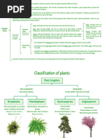 Diagram 4.1 MAIN CHARACTERISTICS OF PLANTS