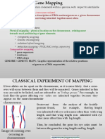 Genetic Mapping - Linear Description of DNA Markers/genes On A Given Chromosome With Closely Placed Markers Being Inherited Together More Often