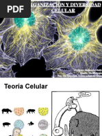 Organizacion Y Diversidad Celular: Profesor Alejandro Roth Depto. de Biología Fac. de Ciencias. Universidad de Chile