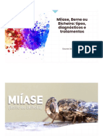 Miíase, Berne Ou Bicheira: Tipos, Diagnósticos e Tratamentos