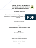 Universidad Tècnica de Babahoyo: Facultad de Ciencias Agropecuarias Carrera de Ingenieria Agronómica