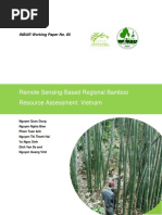 Remote Sensing-Based Regional Bamboo Resource Assessment: Vietnam