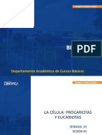 Departamento Académico de Cursos Básicos