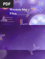 Western Blot y Elisa.: "Enzime-Laked Immunosorbet Assay"