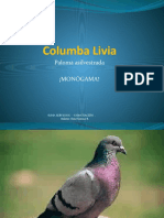 Parte 6-Columba Livia