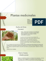 Plantas Medicinales