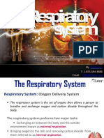 Respiratory System