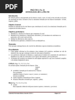 Manual Anatomía Veterinaria Básica Parte 2 Sem 2023-2