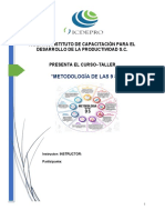 "Metodología de Las 9 S S": Icdepro, Instituto de Capacitación para El Desarrollo de La Productividad S.C