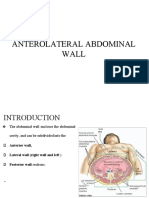 Anterolateral Abdominal Wall