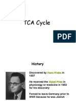 TCA Cycle