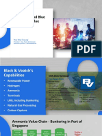 Green Blue Ammonia Value Chain
