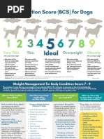 Body Condition Score For Dogs and Cats