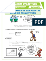 Adaptaciones de Las Plantas Al Medio en Que Viven