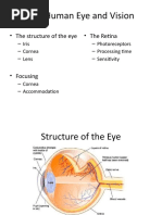 Occupational Stres