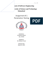 Assignment # 1 Penetration Testing