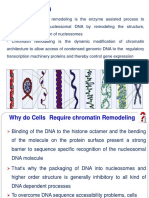 Chromatin Remodeling-5