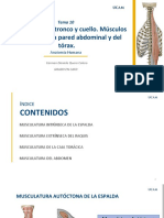 TEMA 10. Musculatura Del Tronco y Cuello Músculos Del Raquis, de La Pared Abdominal y Del Tórax