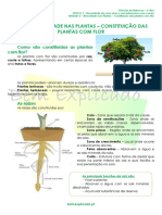 2.1 Diversidade Nas Plantas - Constituição Das Plantas Com Flor