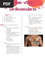 Anamnese Cardiovascular