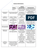 Micosis OPORTUNISTAS - Terminada