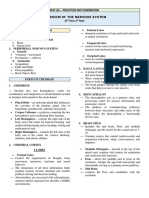 P and C - OVERVIEW OF THE NERVOUS SYSTEM