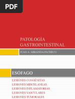 Patología Gastrointestinal: Juan A. Miranda Pacheco