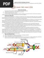 Biotecnología - Replicación, Transcripción y Traducción