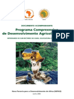 Programa Compreensivo de Desenvolvimento Agrícola Africano: Documento Acompanhante