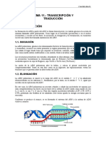 TEMA 11 Transcripción y Traducción