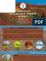 Temperate Deciduous Forest Biome