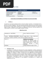 Sistema Endocrino 1